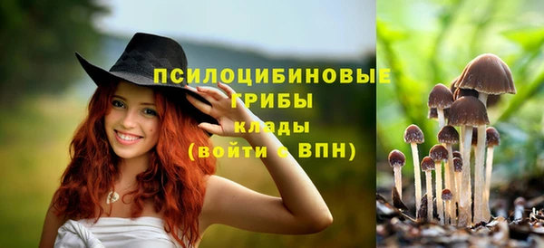 прущая мука Нея