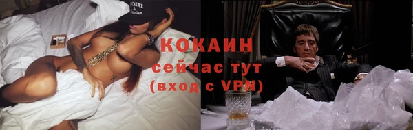 прущая мука Нея