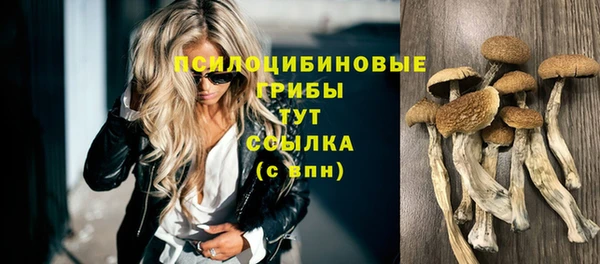прущая мука Нея