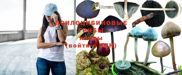 мефедрон мука Нефтекумск