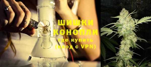 прущая мука Нея