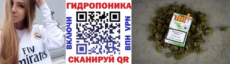 Шишки марихуана план  Ставрополь 